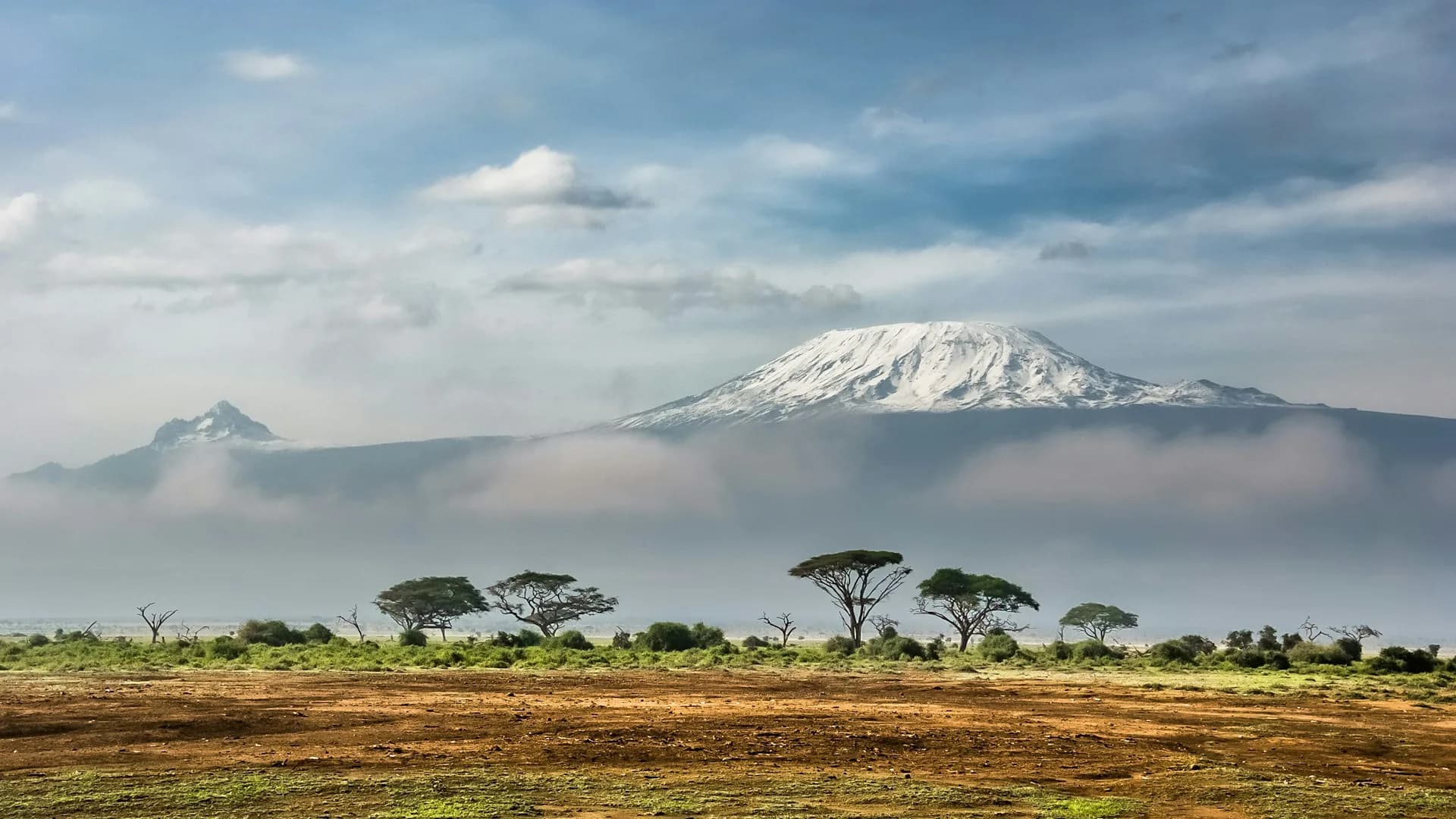 Cameroon's Senate Evaluates Tourism and Agriculture Synergy: The Rise of Agro-Tourism