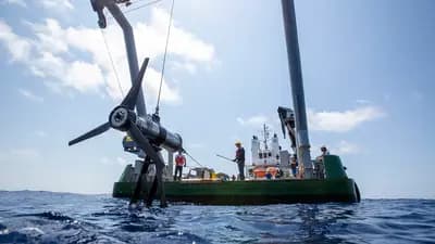 Marine Expertise