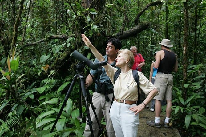 Tours Ornithologiques