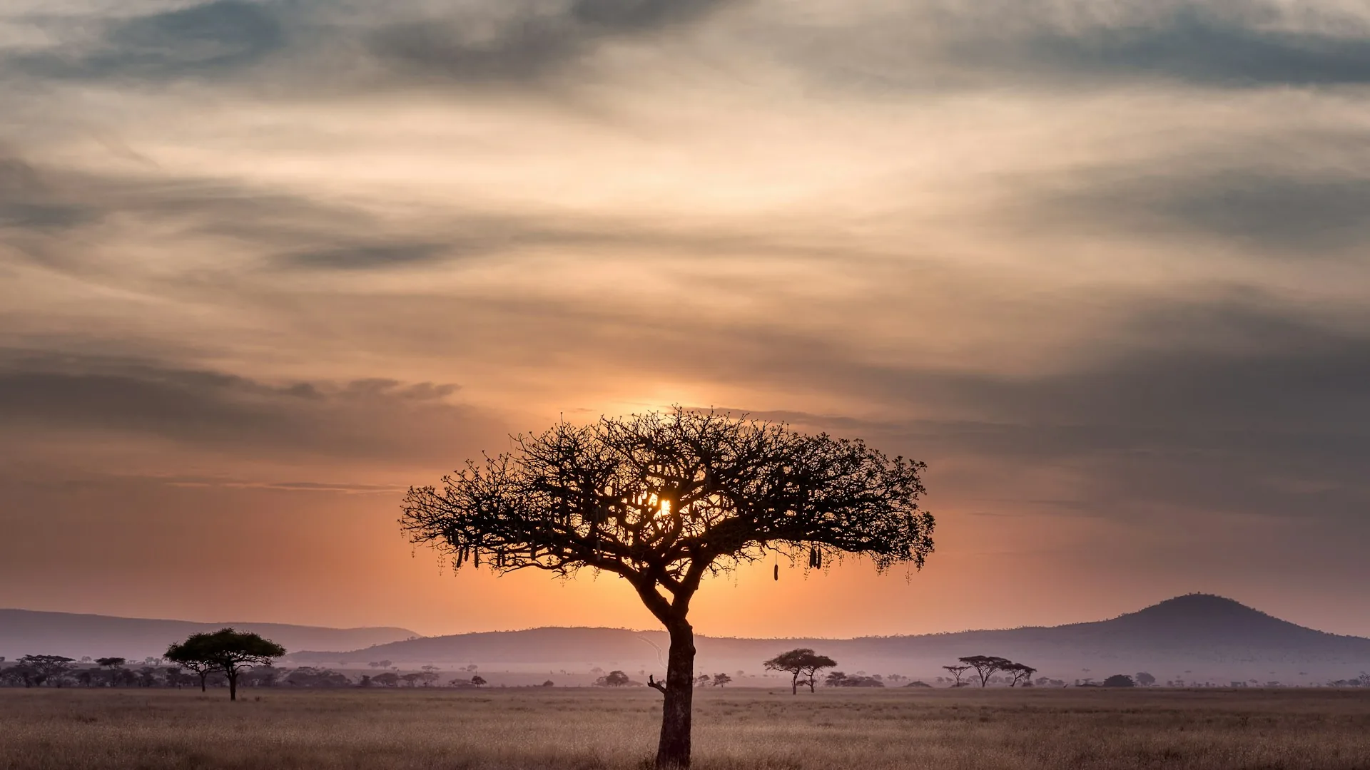 What Do You Know About Cameroon? Essential Facts Every Traveler Should Know