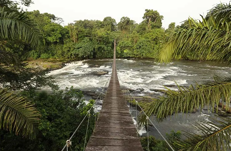 Sécurité au Cameroun : évaluation honnête de ce que les visiteurs doivent savoir