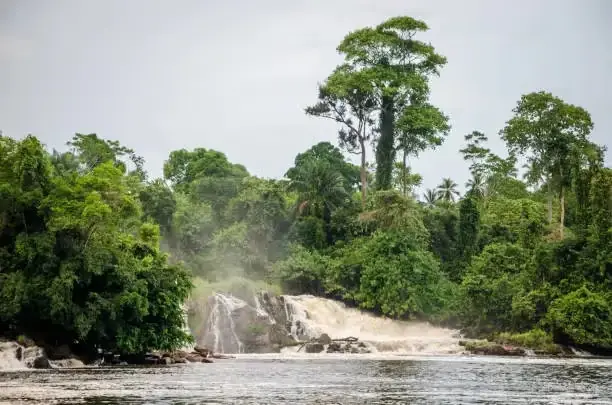 Cameroon as a Traveller's Destination: Why the World Is Finally Discovering Africa's Best-Kept Secret