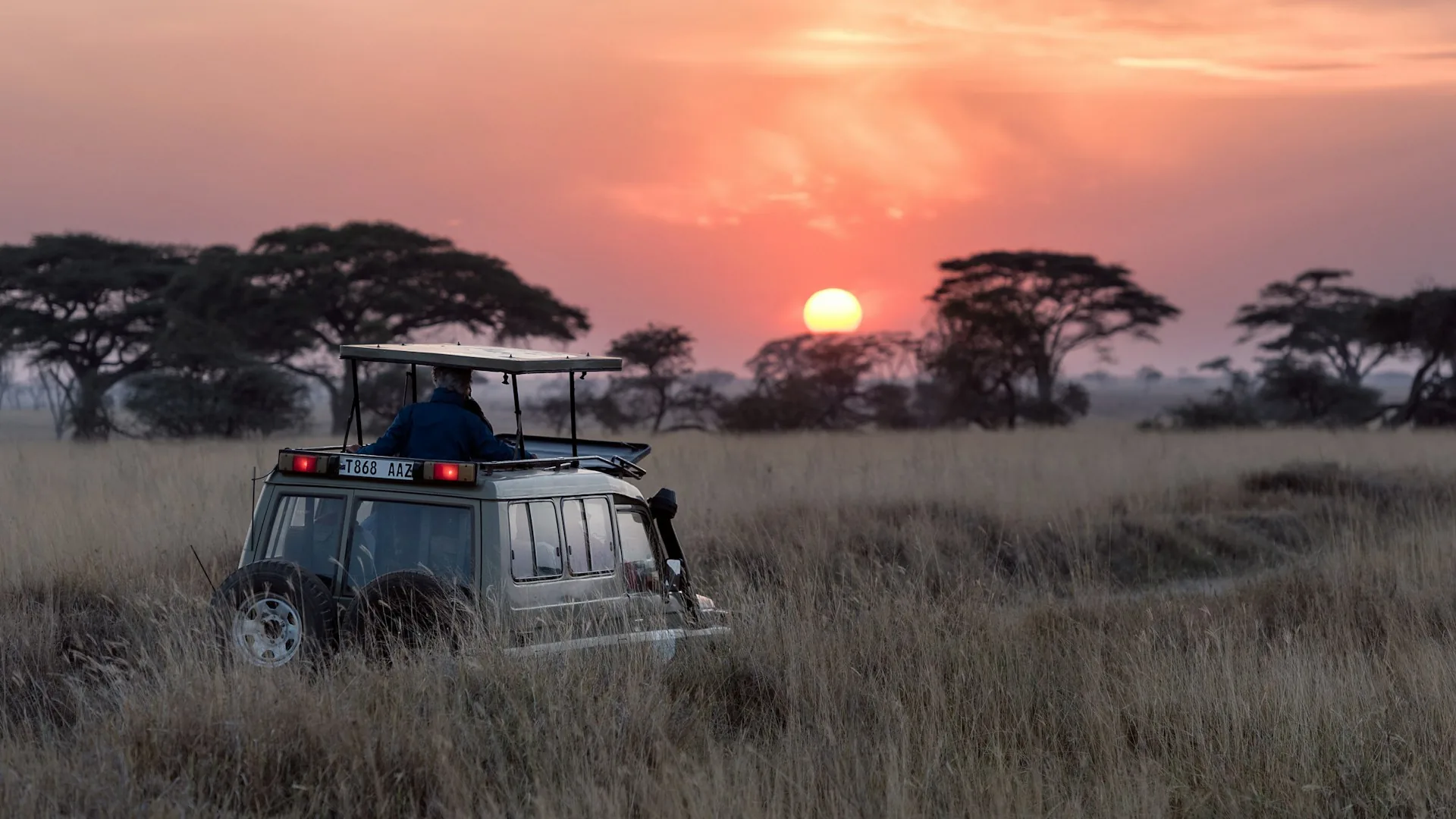 Aventures safari au Cameroun : rencontrer la faune dans son habitat naturel à travers chaque écosystème