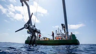 Marine Expertise