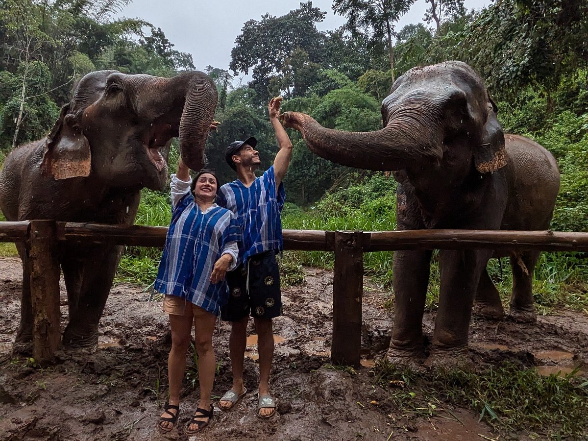 Care Tourism