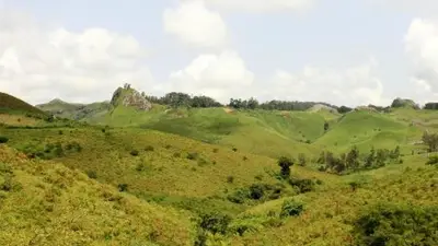 Activités incontournables au Cameroun : des expériences uniques au monde