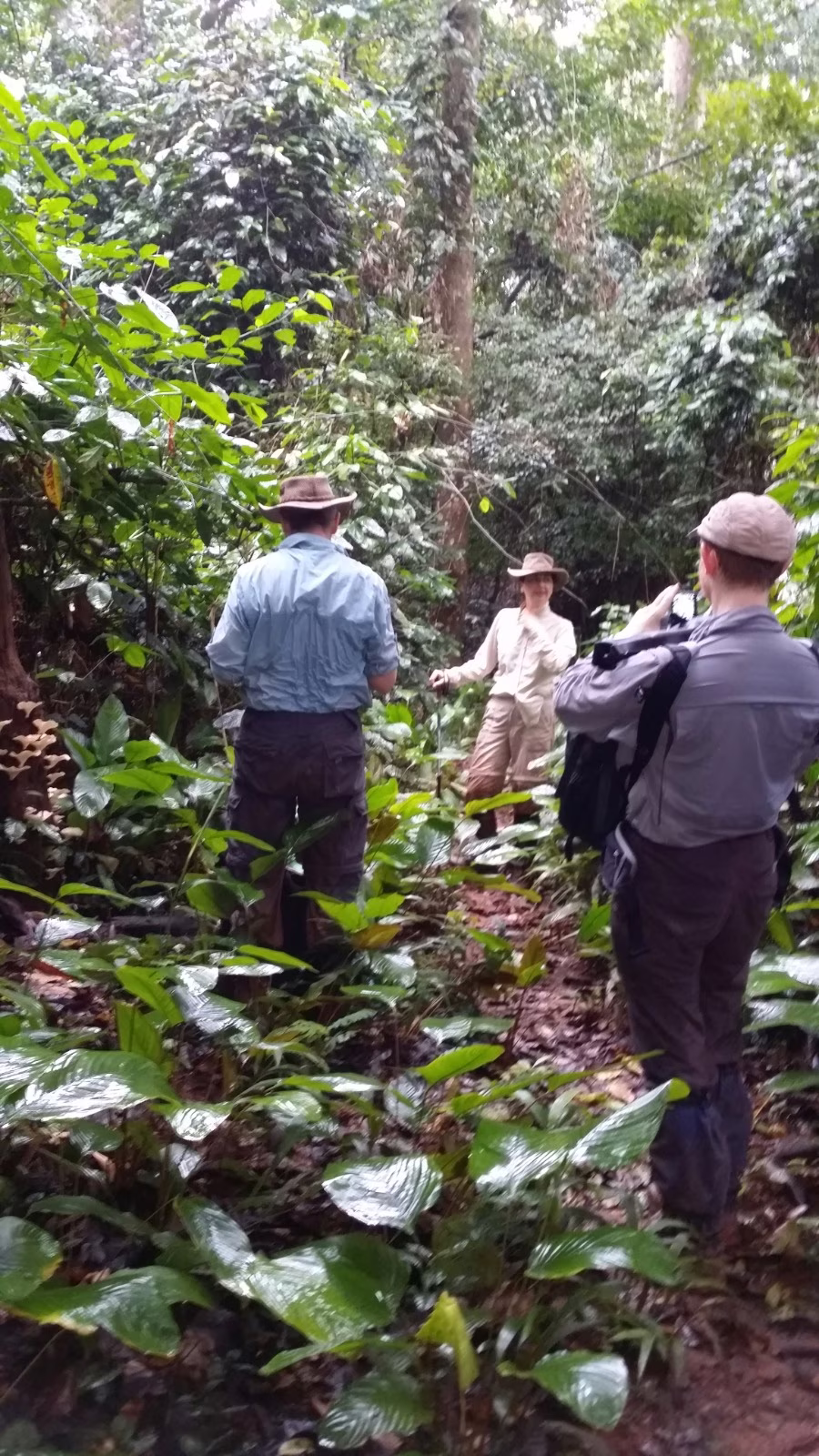 Bayanga Forest Trek