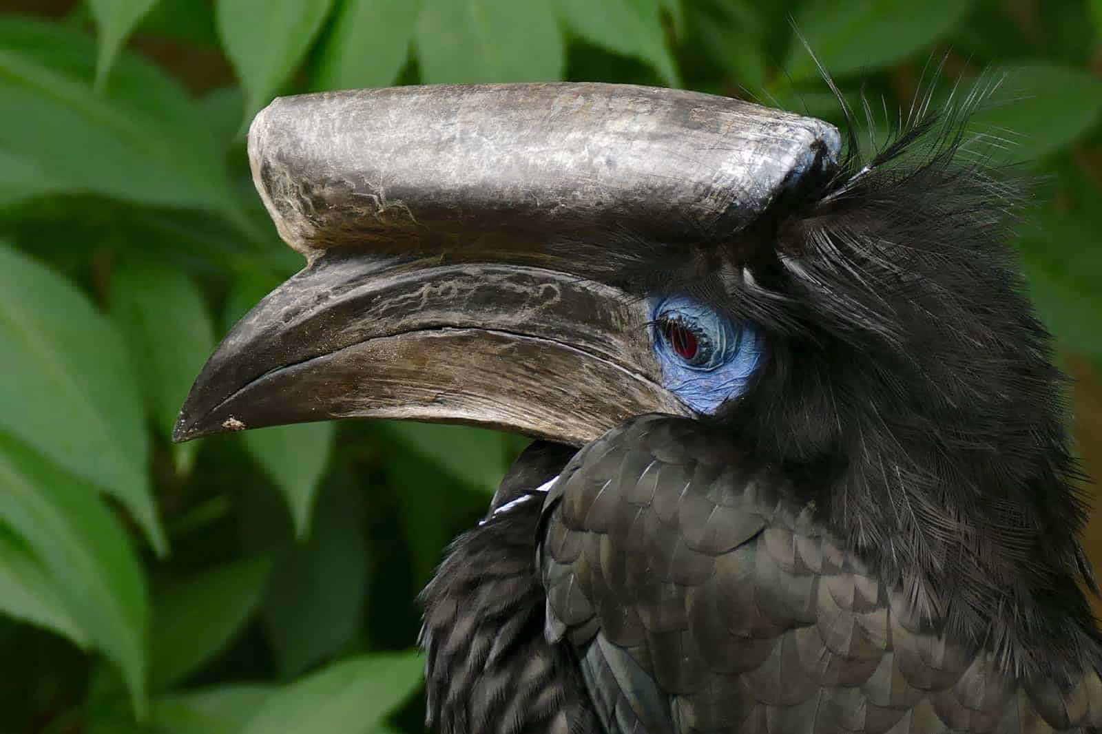 Ornithological And Beach Vacation Tour